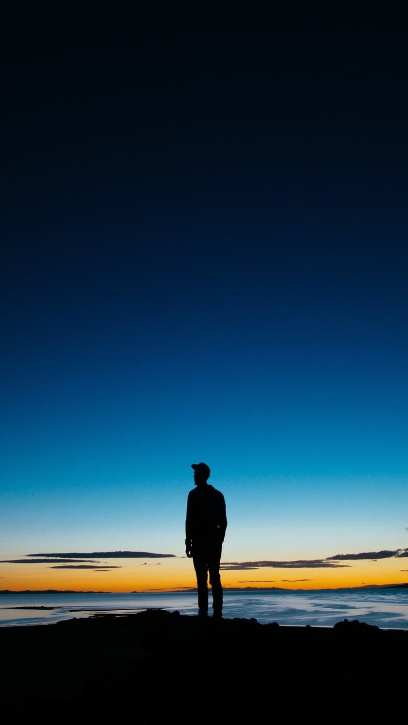 Solitary person silhouetted against a gradient blue and orange sunset sky overlooking a misty coastal landscape.