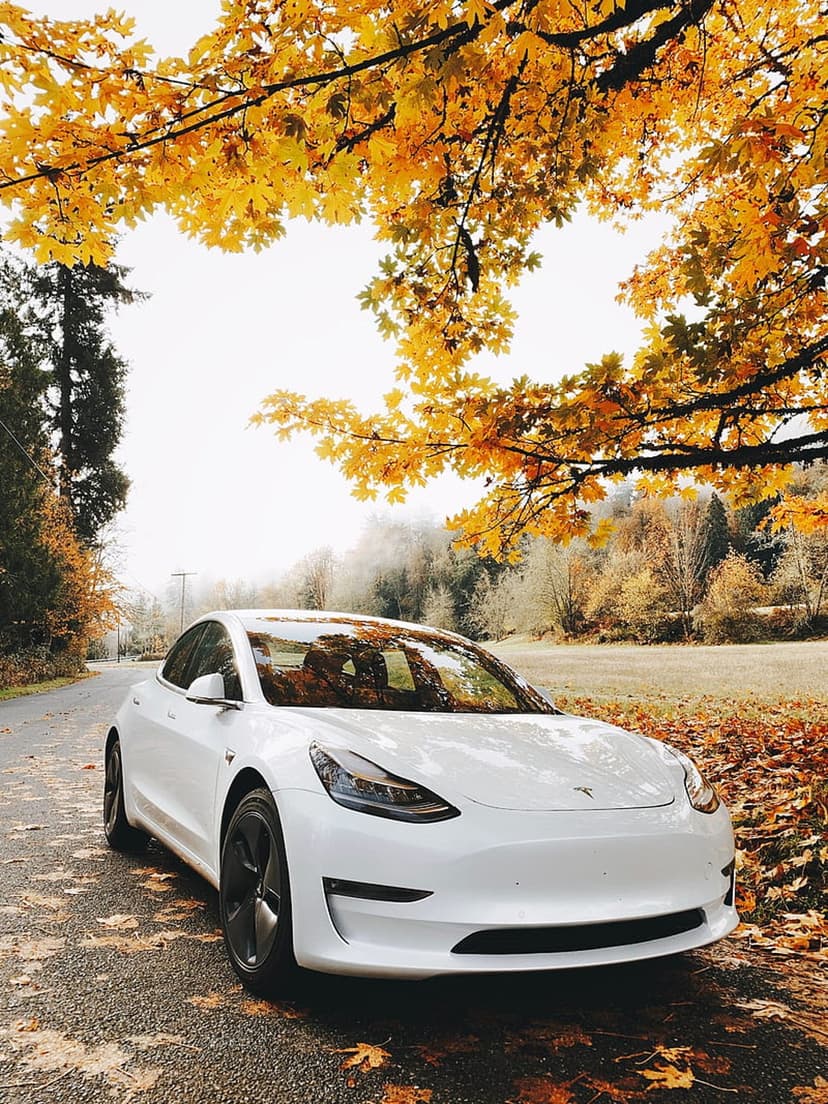 White Tesla Model 3 parked on a mountain road covered in yellow autumn leaves under a vibrant orange tree canopy.