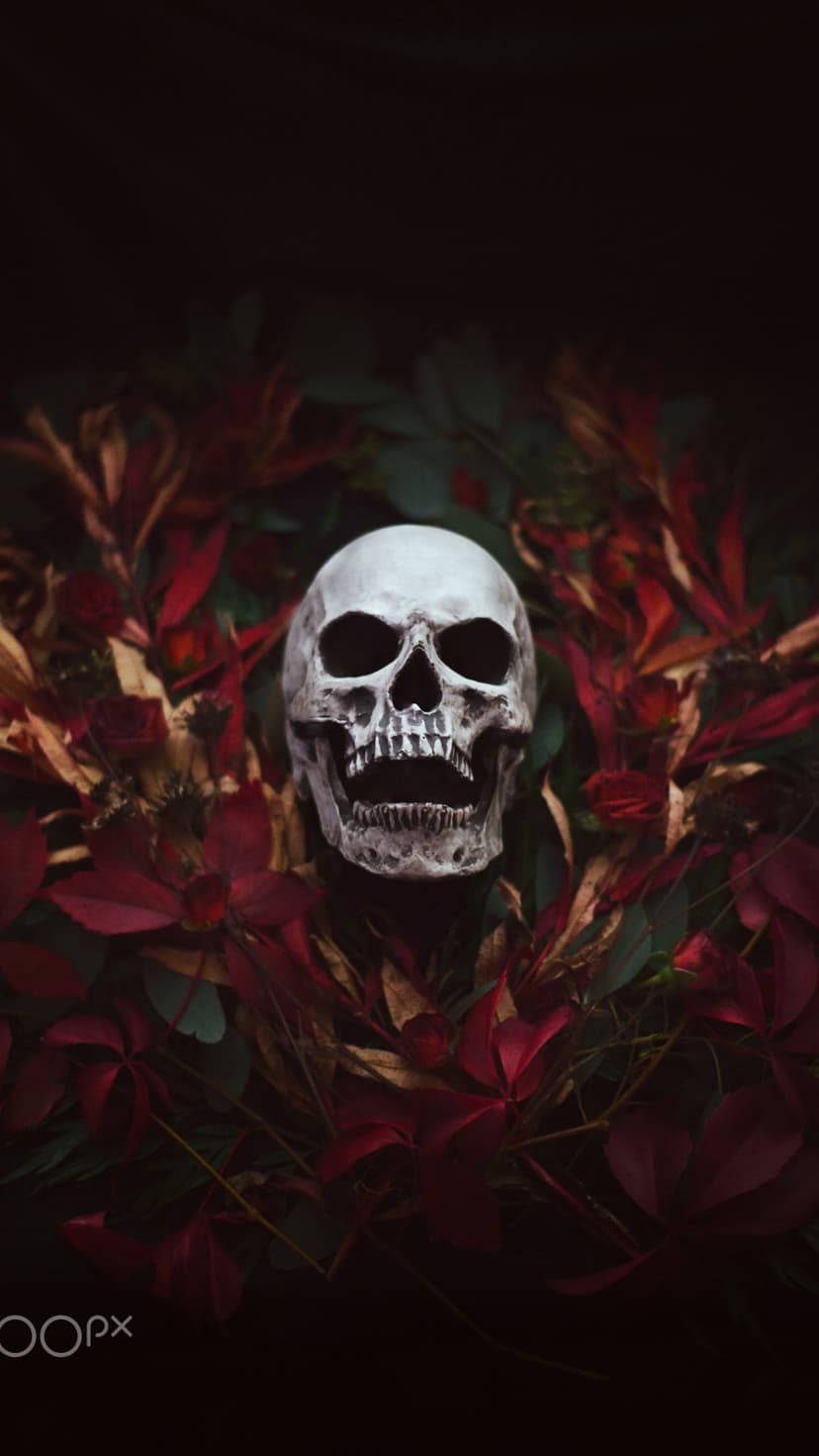 Human skull nestled among dark red and orange autumn leaves with dramatic shadows and weathered bone textures.