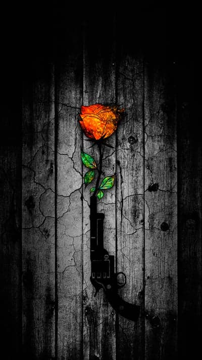Rose Growing from Gun on Cracked Wood Texture