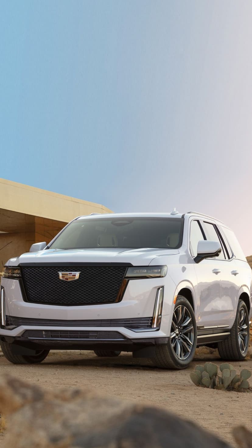Luxury white Cadillac Escalade parked on desert sand with prickly pear cacti under a soft sunset sky.
