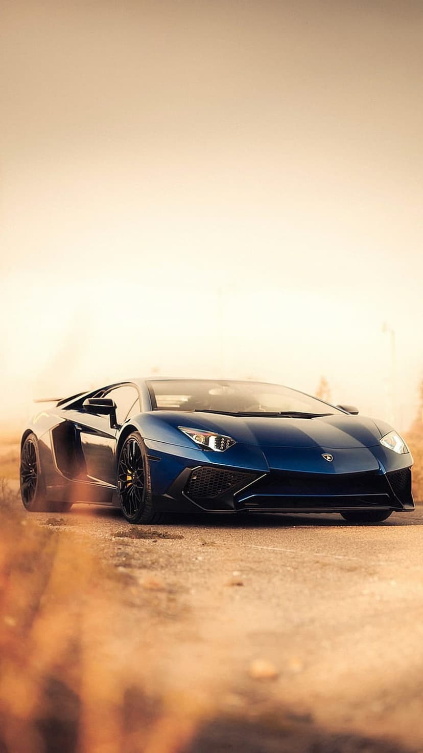 Blue Lamborghini Aventador sports car parked on a sun-drenched dusty road with golden grass in the foreground.