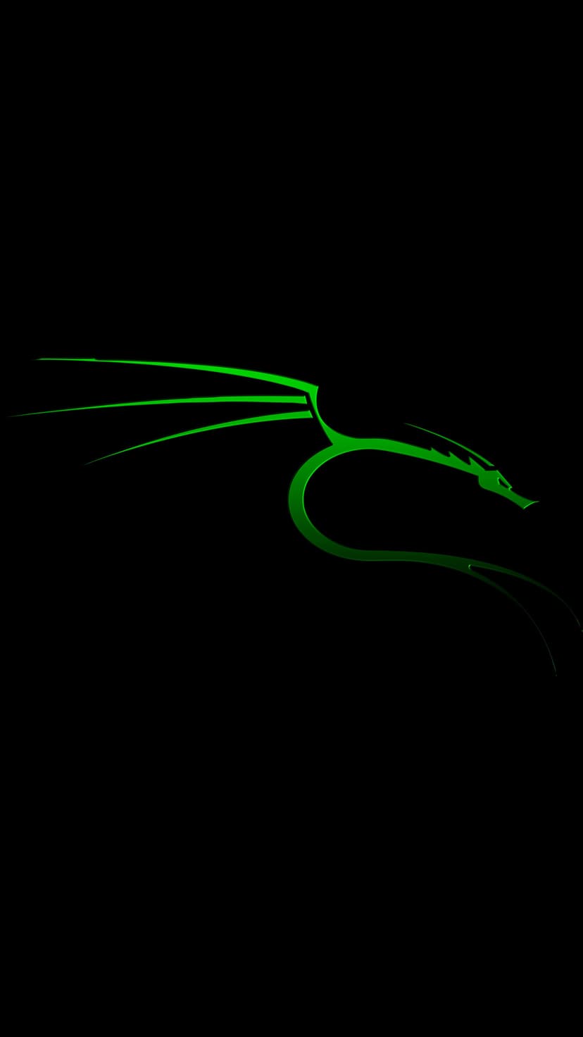Luminous green Kali Linux dragon silhouette with sharp wings and a curved tail centered on a black background.