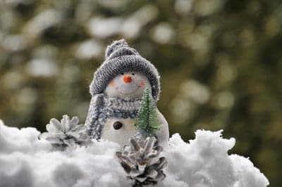 Cute Snowman in Snow with Pinecones and Tree