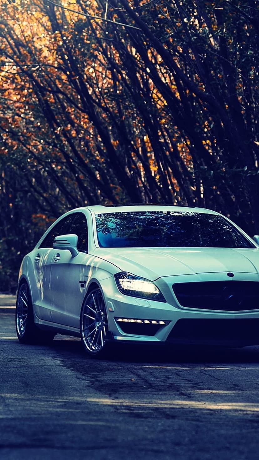 White luxury sedan parked on an asphalt road beneath golden autumn trees with light filtering through leaves.