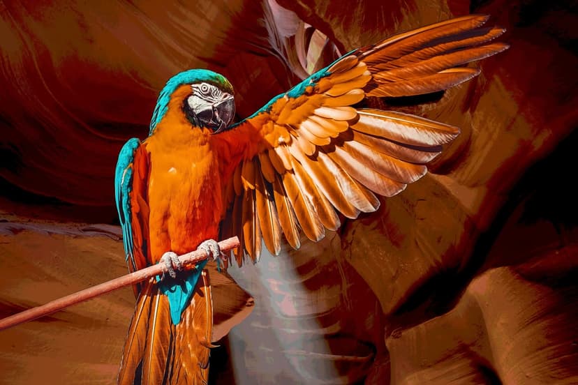 Macaw parrot with blue and orange wings spread wide on a wooden branch against a textured brown canyon wall.