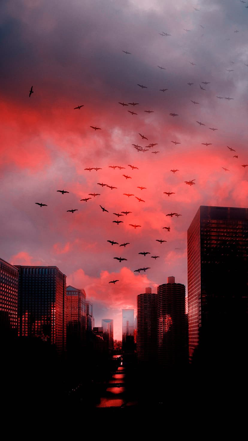 Birds flock across a red and purple sunset sky above silhouetted skyscrapers and a reflective city waterway.