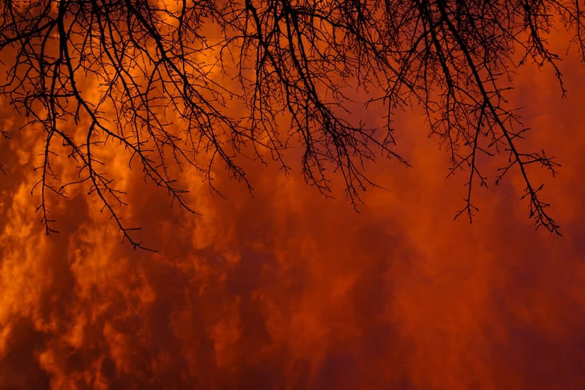 Dark skeletal tree branches stand against a vivid backdrop of glowing orange and deep red sunset clouds at dusk.