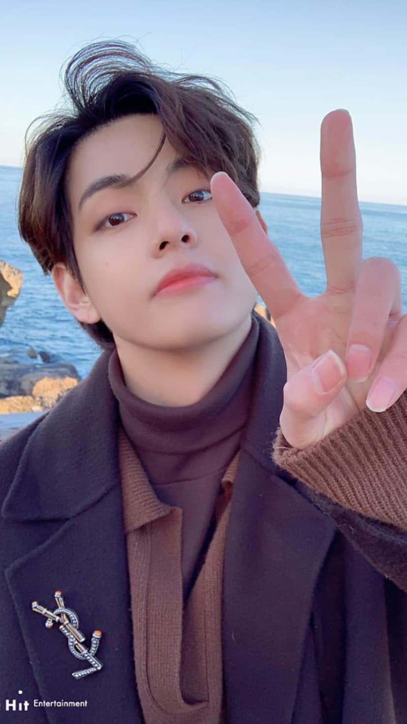 Kim Taehyung wearing a winter coat makes a peace sign in front of a blue ocean and rocky coastal background.