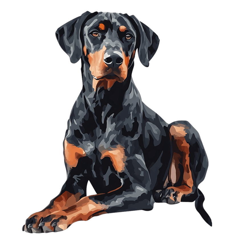 Doberman Pinscher dog portrait showcases a sleek black coat and tan markings against a solid dark background.