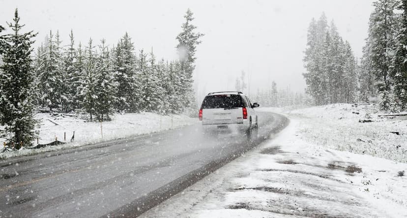 White SUV driving on a winding wet road between snow-covered pine trees during a thick winter snowstorm.