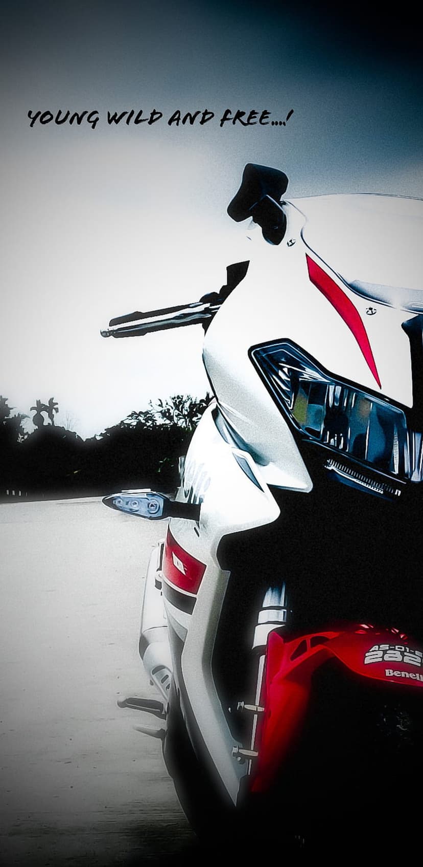 White and red sports motorcycle features sleek fairings and bold text against a soft, misty natural background.