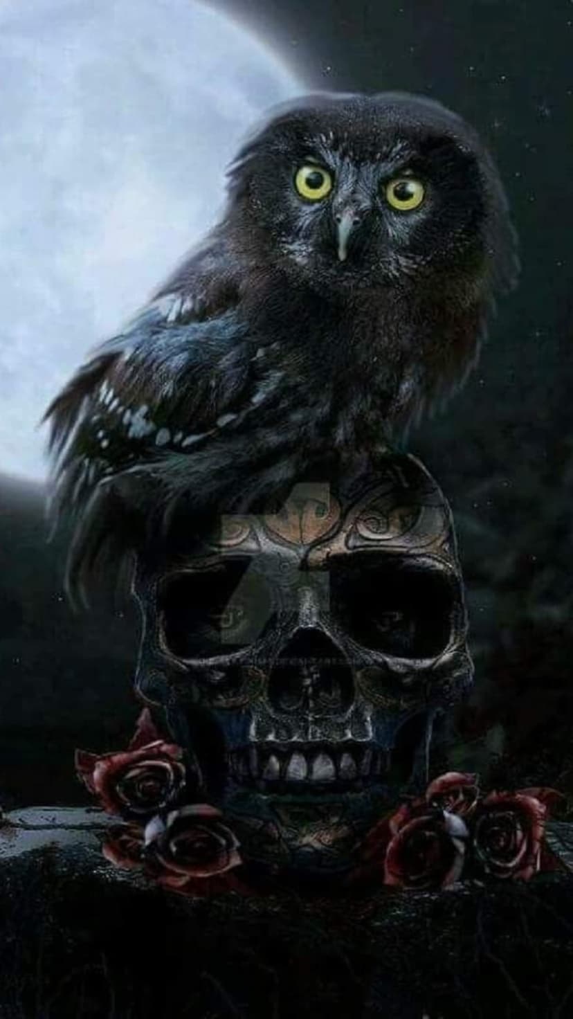 Black owl with yellow eyes perching on a carved human skull surrounded by red roses under a glowing moon.