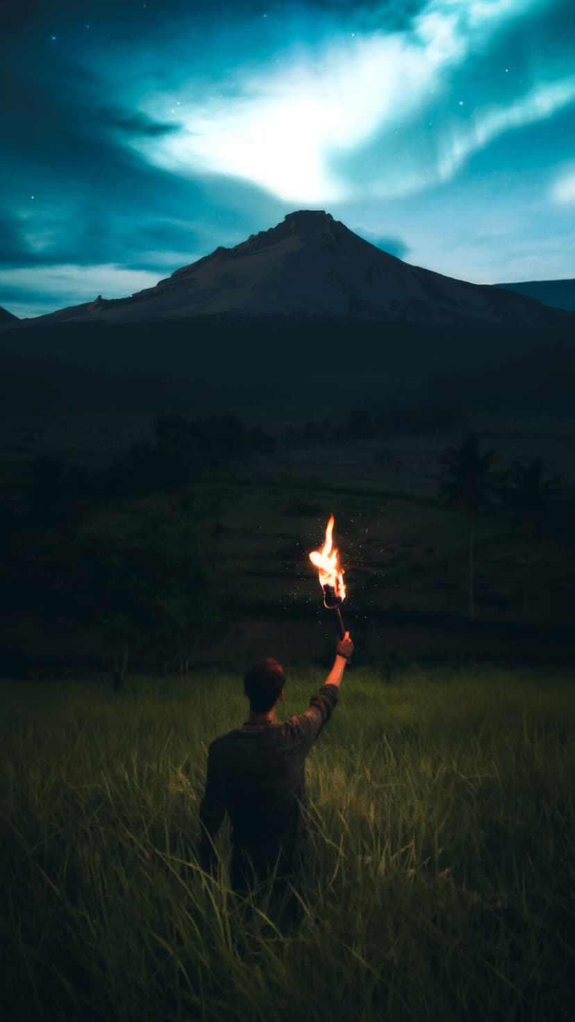 Person kneeling in tall grass holds a blazing torch toward a dark mountain under a starry teal night sky.