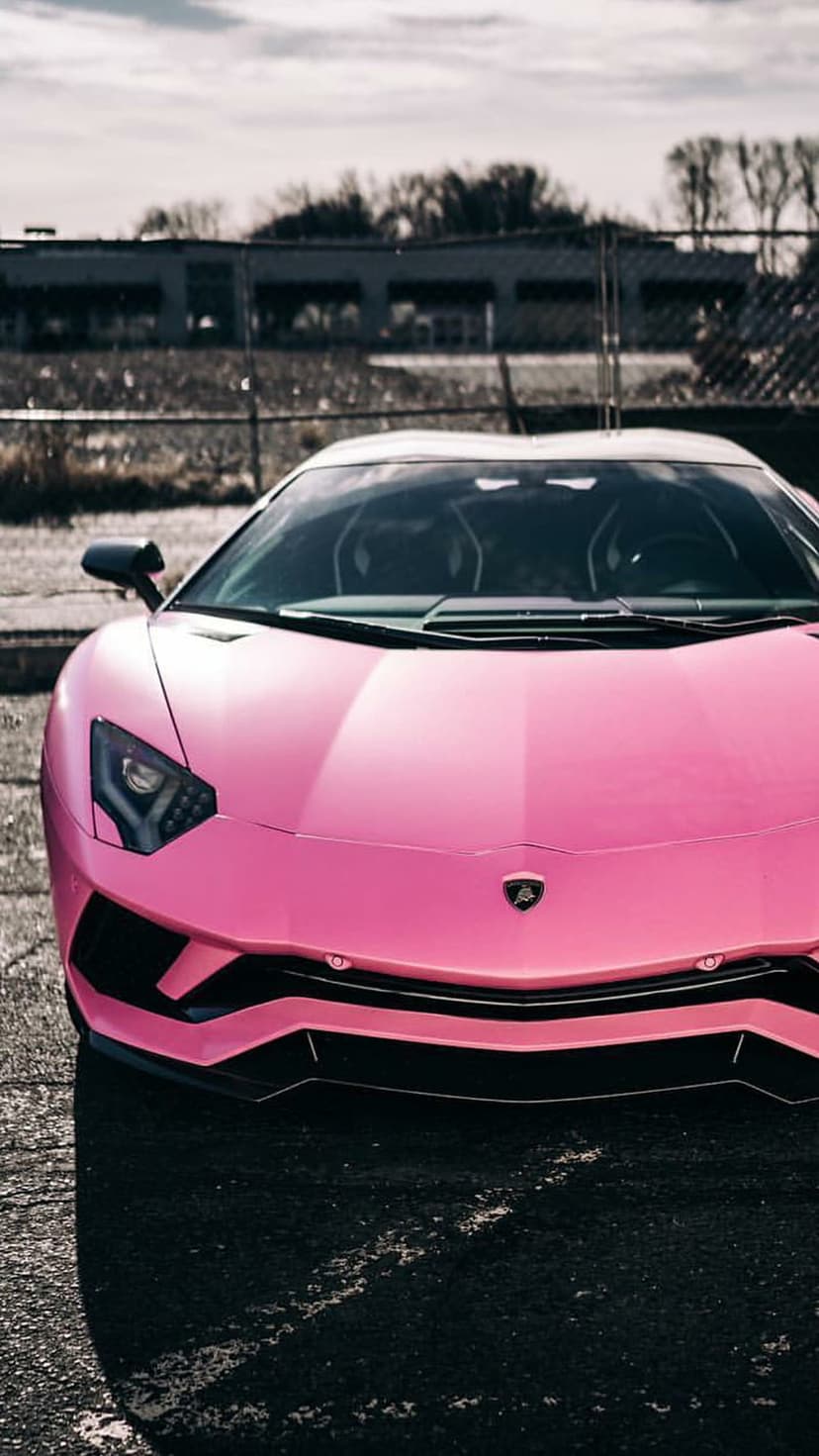 Pink Lamborghini Aventador supercar parked on gray asphalt with an industrial fence under a moody cloudy sky.