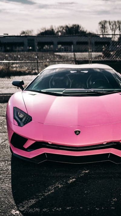 Neon Pink Lamborghini Aventador Front View Phone Backdrop
