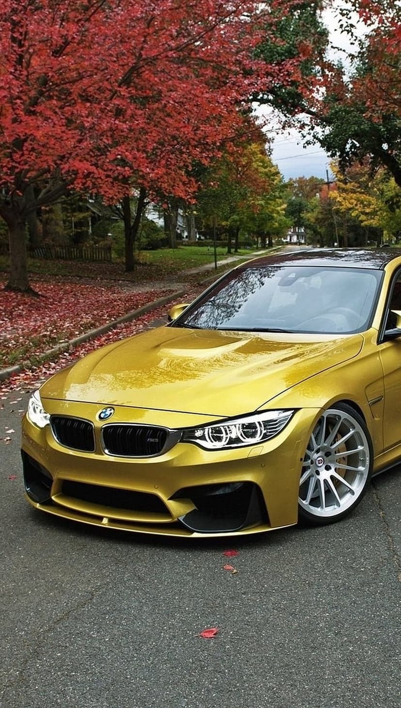BMW M4 in metallic gold parked on an asphalt road covered in red and yellow fallen leaves during autumn.