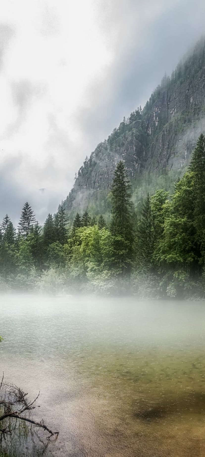 Foggy mountain lake with evergreen trees and rain ripples on the water surface in a moody vertical landscape.