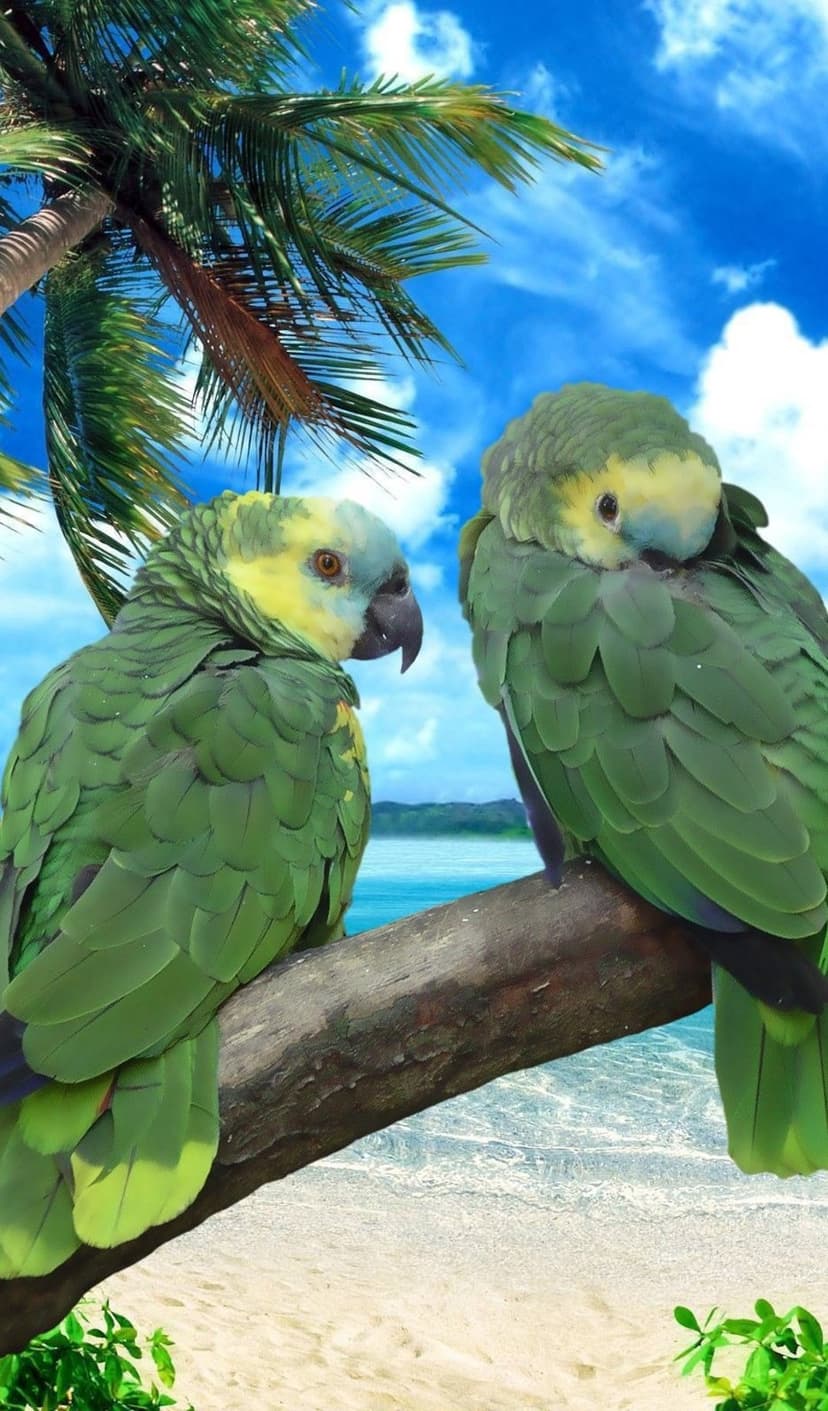 Two green parrots sit on a branch overlooking a turquoise ocean, white sand beach, and sunny tropical sky.