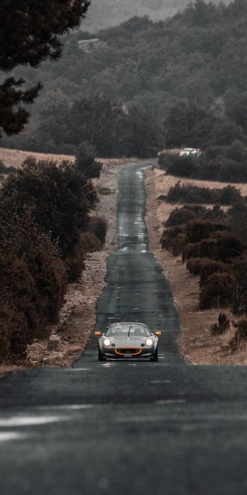Orange-accented sports car speeds toward the viewer on a damp asphalt road surrounded by dark forest hills.