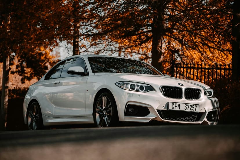 White BMW coupe parked on a road covered in orange autumn leaves under a dense canopy of yellow forest trees.
