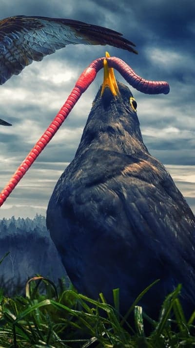 Intense Avian Survival Scene Portrait Phone Wallpaper