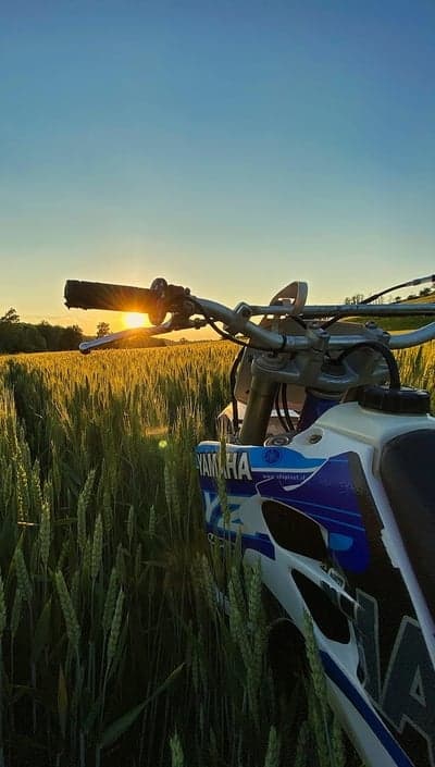 Dirt bike in a wheat field at sunset