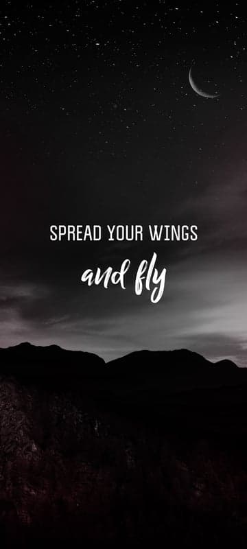 Spread Your Wings and Fly Night Sky Mountains