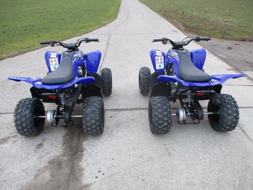 Rear view of two identical blue all-terrain vehicles with large knobby tires parked on a paved country road.