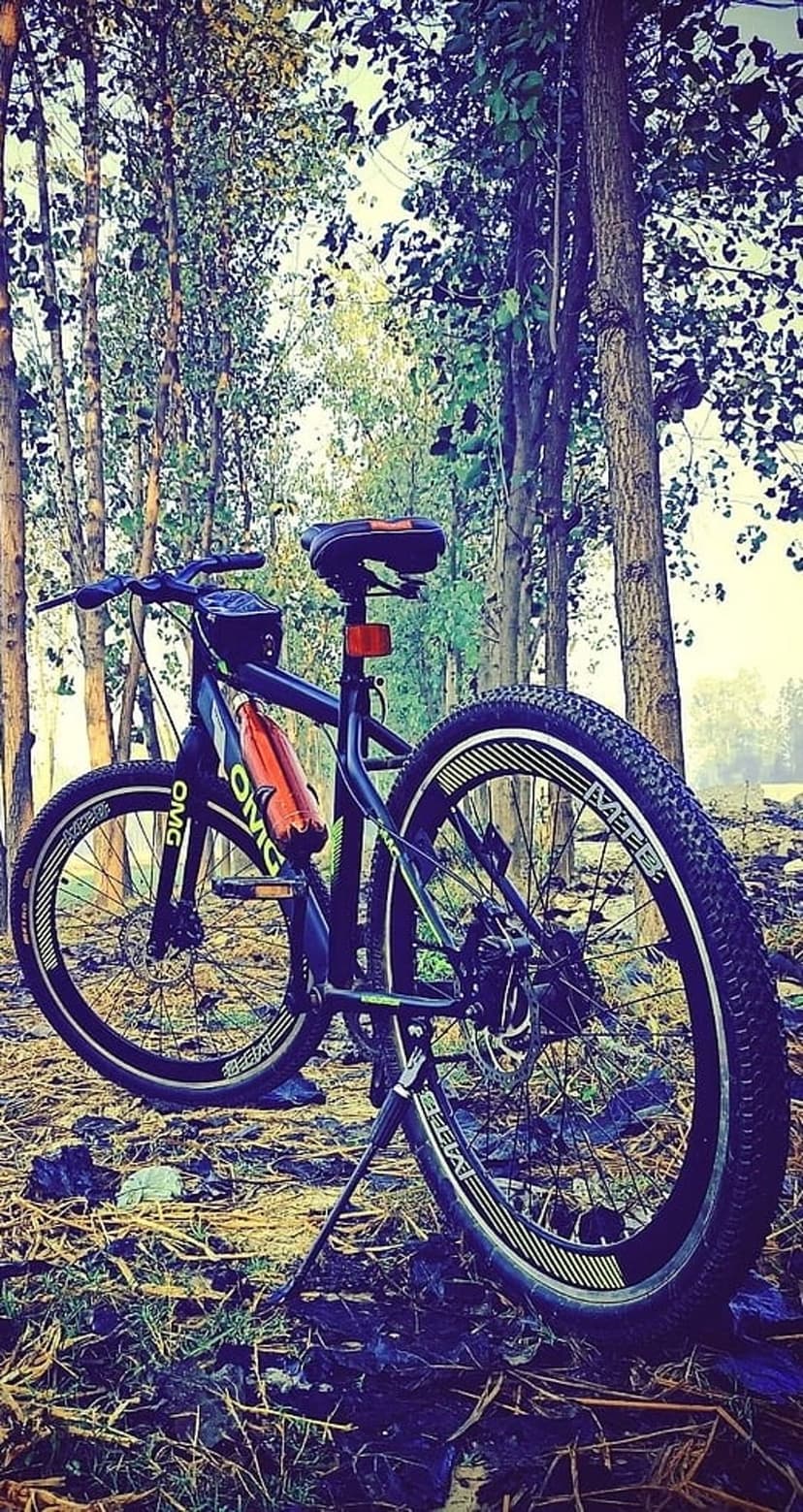 Black mountain bike with a red water bottle parked on a dirt trail surrounded by tall green forest trees.