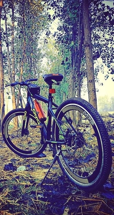 Off-Road Cycling Trail Forest Mobile Wallpaper