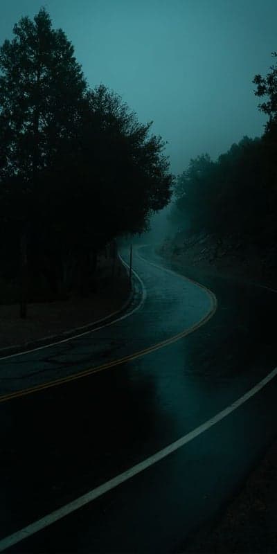 Misty Path - A Winding Road Through Dark Woods