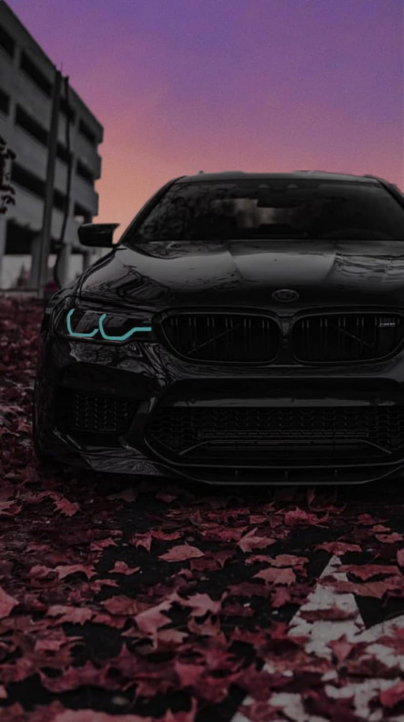 Black BMW M5 sports sedan with teal LED lights parked on red autumn leaves under a purple sunset sky.