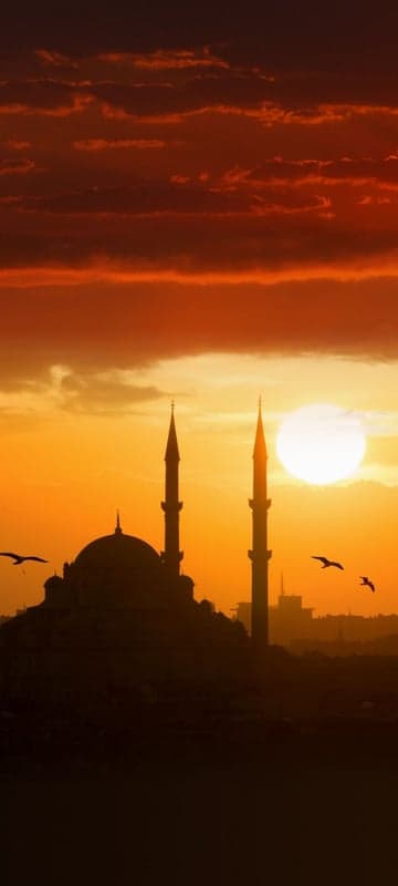 Mosque silhouette at sunset with birds flying