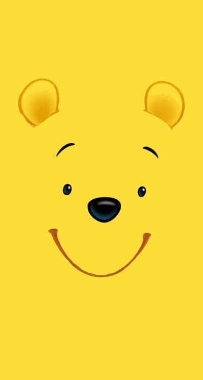 Winnie the Pooh - A Friendly Face