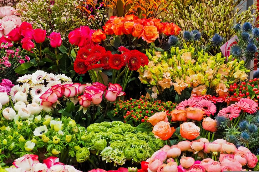 Colorful ranunculus and roses cluster together in a dense market stall display featuring vibrant pink and orange.