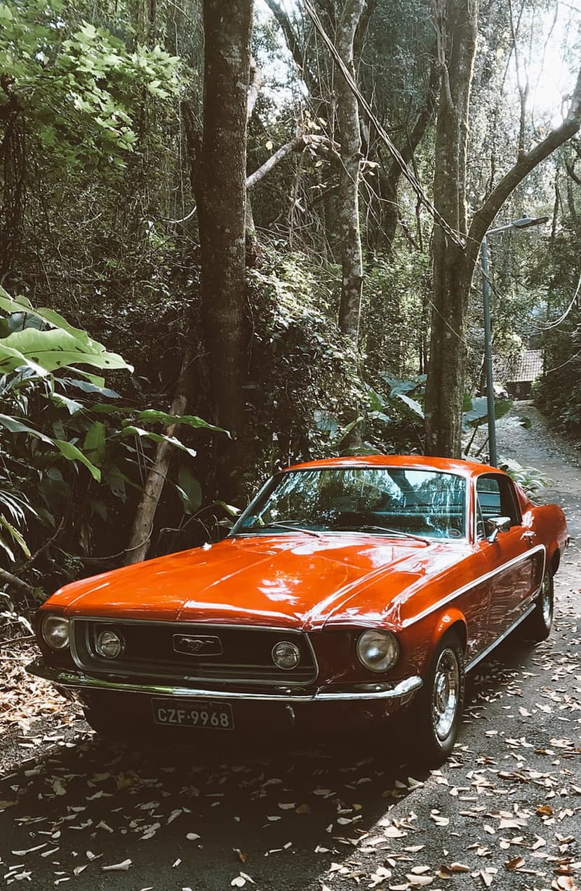 Vintage orange Mustang parked on a woodland trail with sunlight filtering through dense green forest trees.