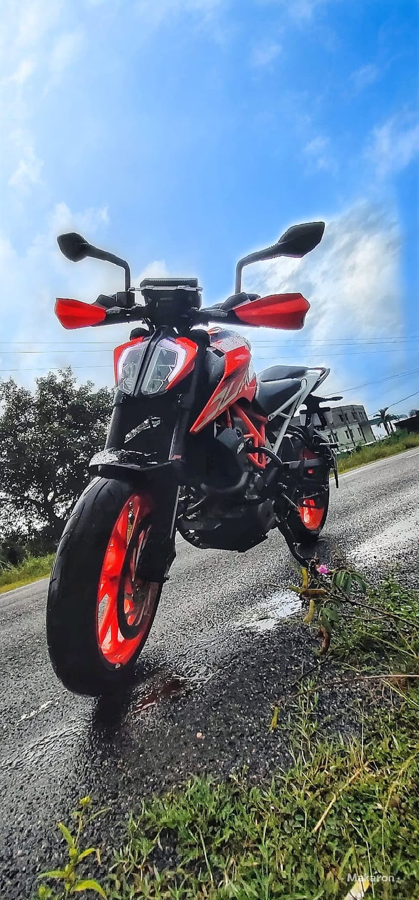 Orange KTM Duke motorcycle on wet asphalt with blue sky reflections, framed by green grass in a low-angle shot.