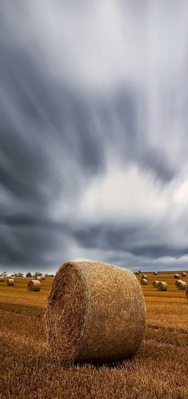 Golden Harvest Under a Dynamic Sky