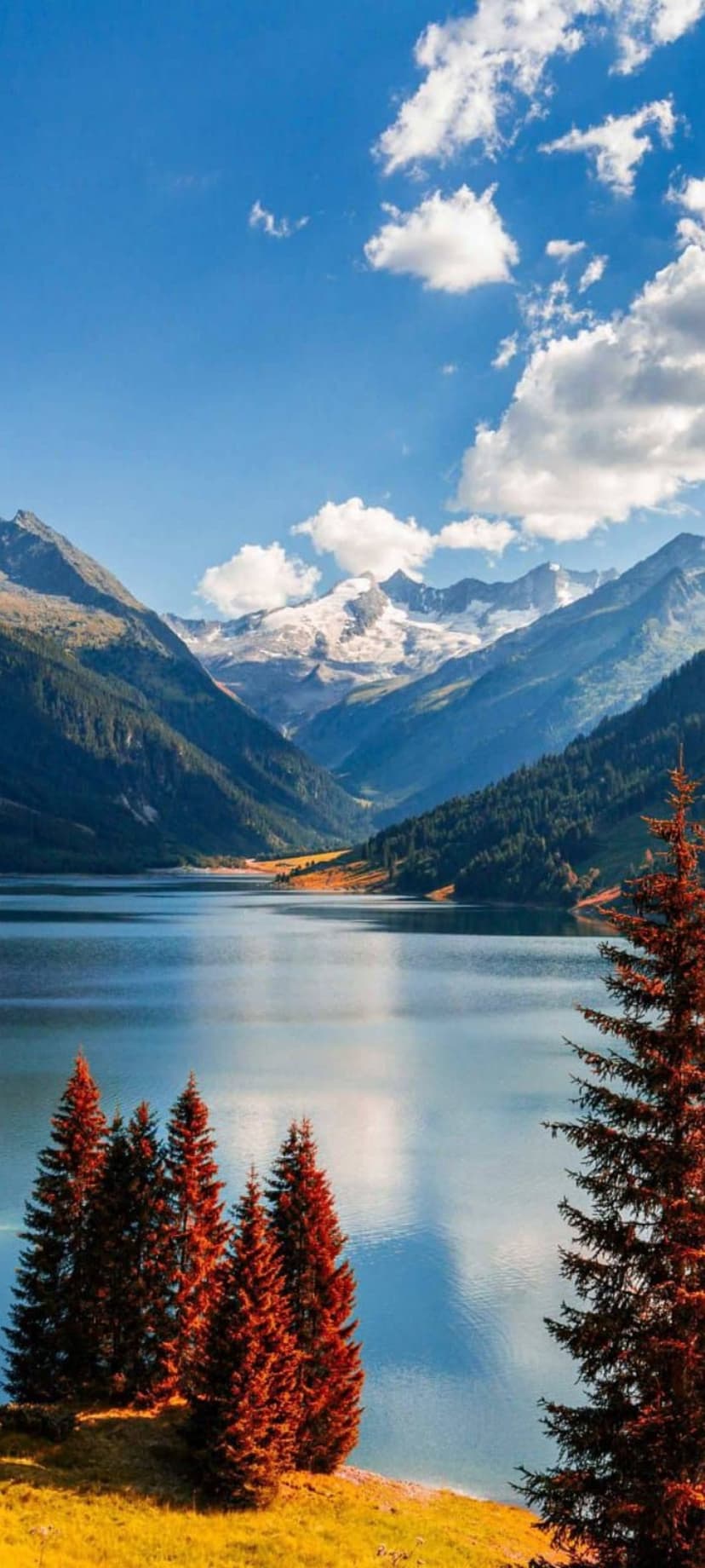 Snow-capped mountain peaks reflect in a glass-like alpine lake surrounded by yellow autumn trees and pines.