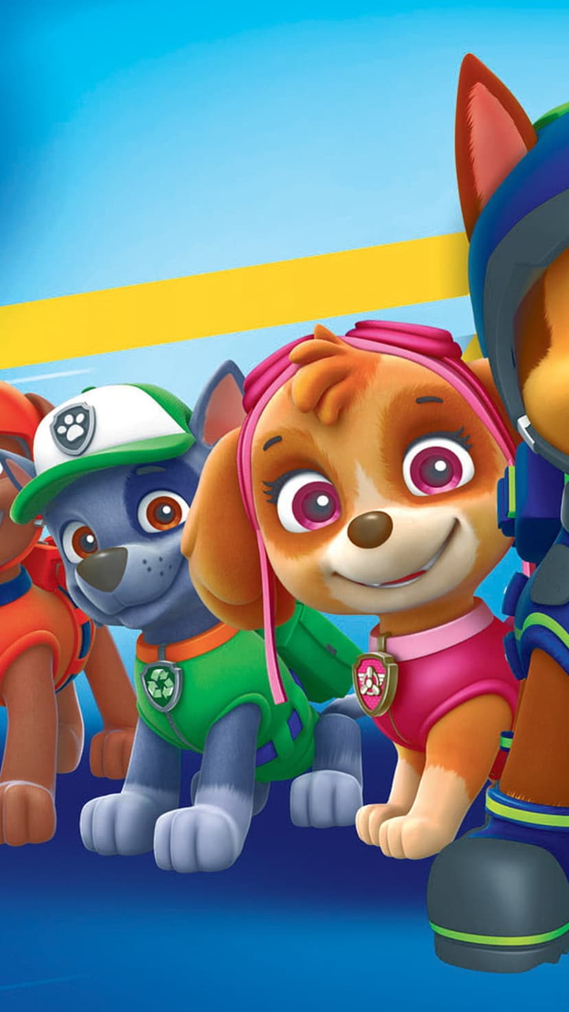 Rocky in green and Skye in pink goggles stand against a blue background with a yellow stripe for mobile displays.