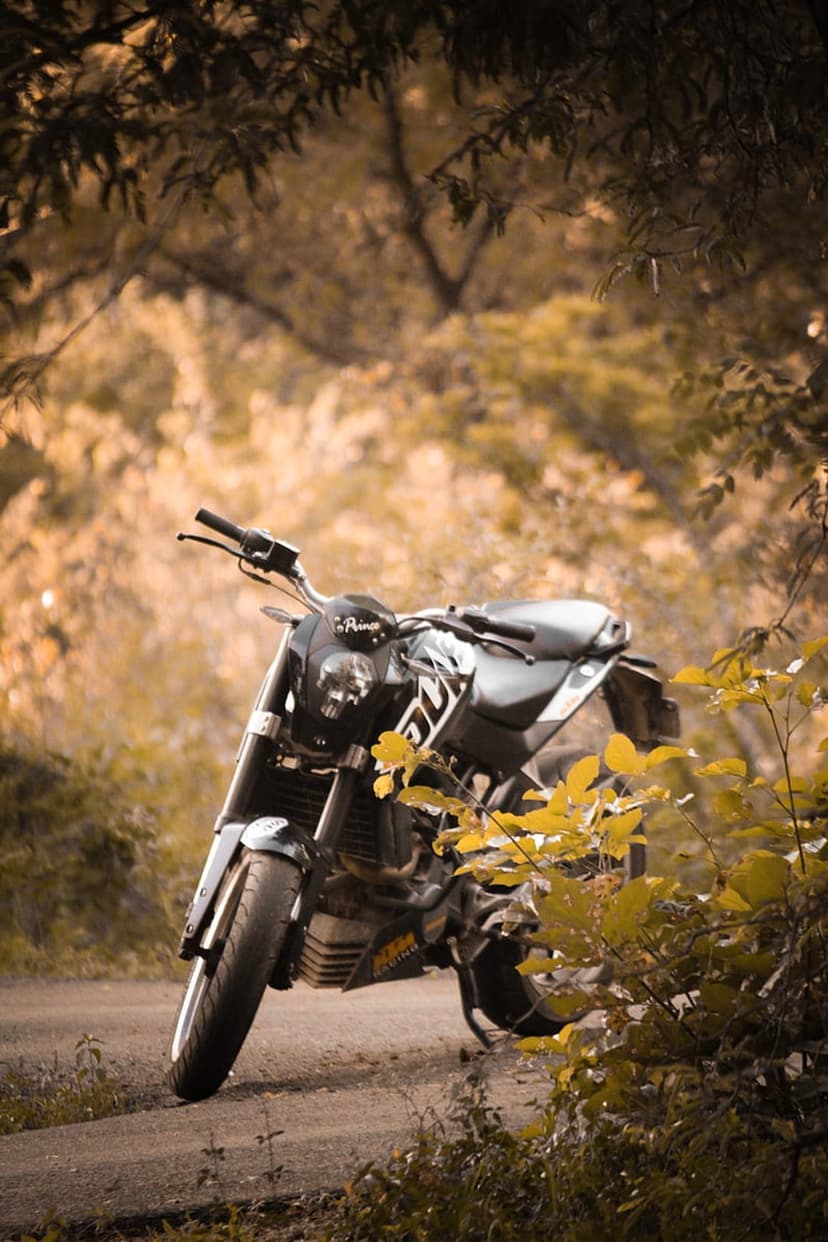 Black motorcycle parked on a dirt trail under golden autumn leaves with soft sunlight filtering through trees.
