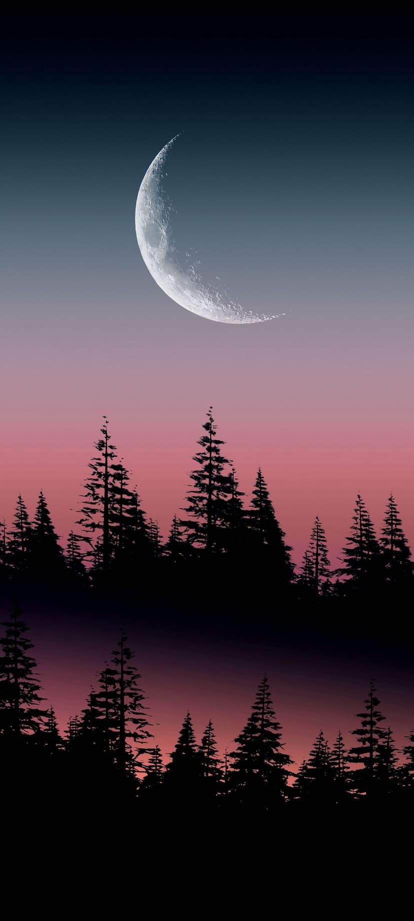 Slender crescent moon glowing in a purple and blue gradient sky above dark silhouetted pine tree branches.