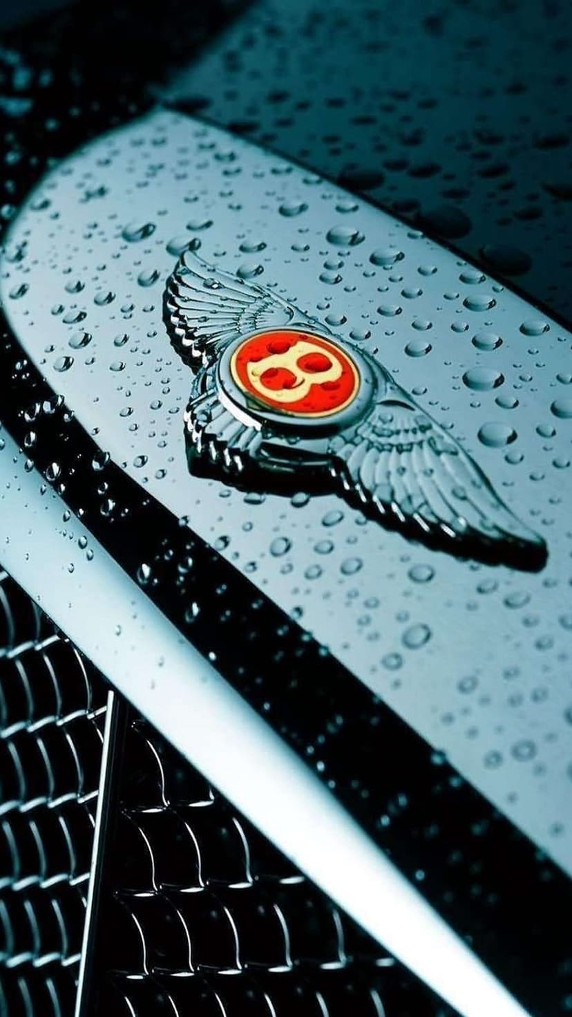 Bentley winged B emblem on a car hood covered in fresh raindrops with dark reflections on polished chrome.