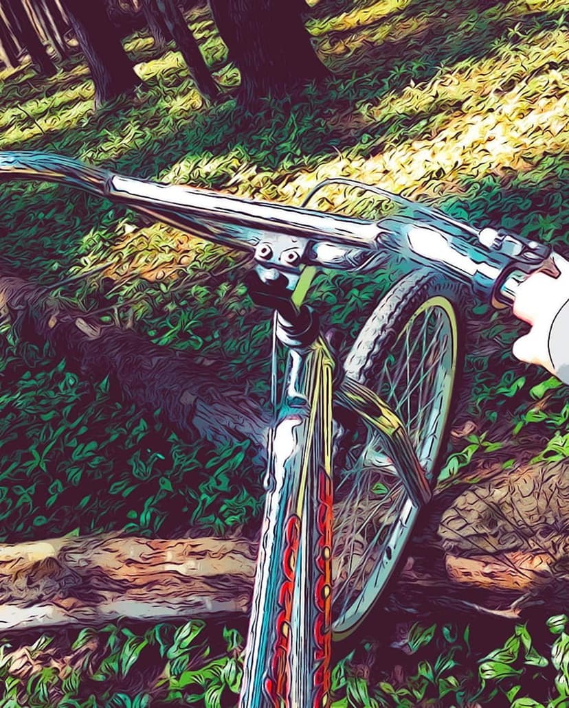 Chrome mountain bike handlebars steer through a lush green forest with dappled sunlight on the woodland floor.