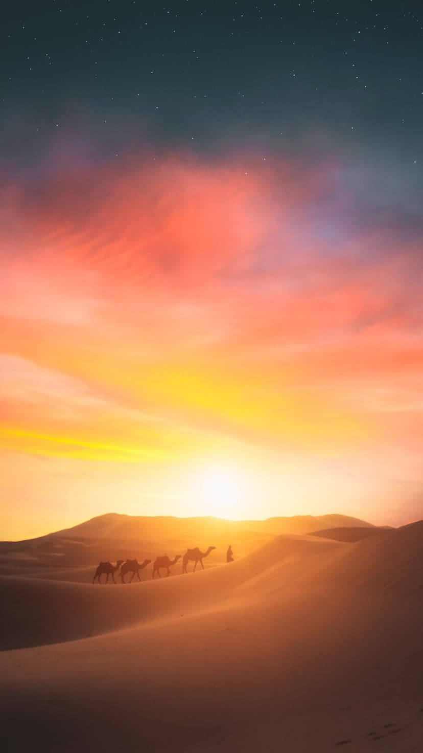 A line of camels walks across orange sand dunes under a fiery sunset sky with emerging stars in the distance.