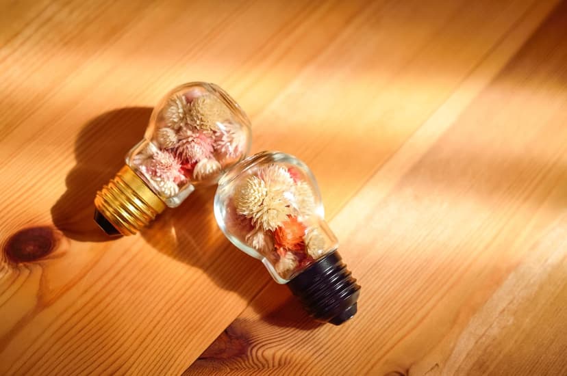 Two glass lightbulbs filled with dried flowers sit on a wooden surface with sunlight casting long shadows.