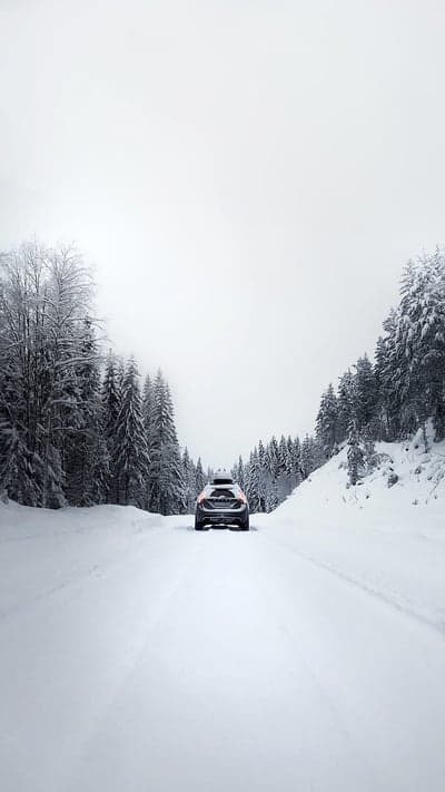 Winter Road Trip Through Snowy Pine Forest Wallpaper