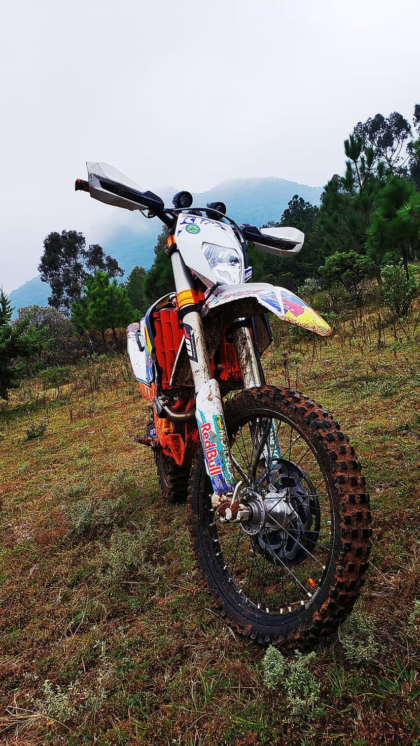 Red Bull dirt bike with mud-caked tires parked on a lush grassy slope before misty, blue-tinted mountain peaks.