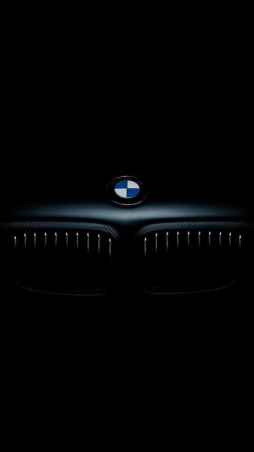 BMW roundel logo centered above a dark textured mesh car grille with dramatic highlights on a black background.